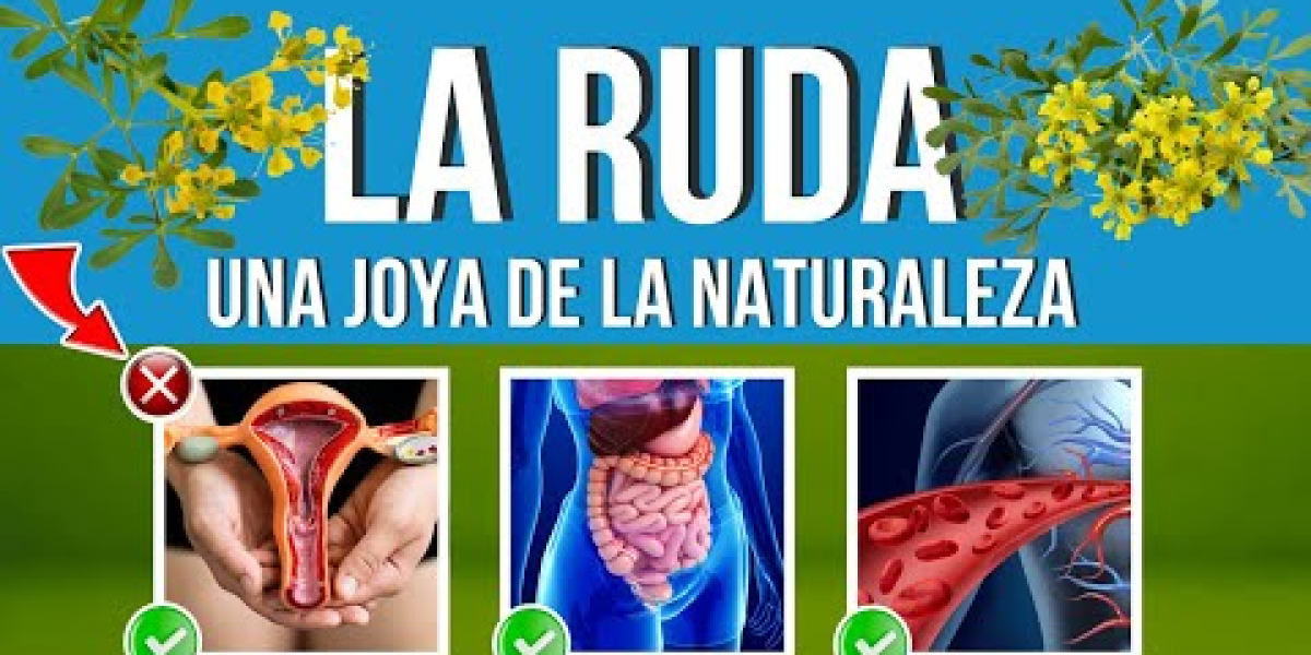 Descubre los Secretos de la Ruda: Tu Aliado Natural para Perder Peso de Manera Saludable