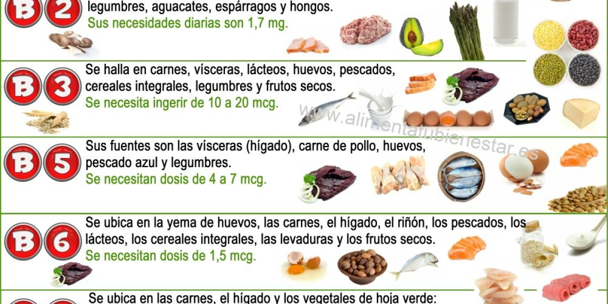 Científicos españoles descubren que la vitamina B12 es clave en la reprogramación celular