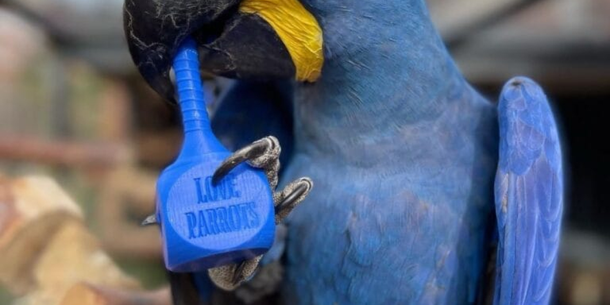 The Ultimate Guide to Macaw Pet Shop: A Haven for Exotic Bird Enthusiasts