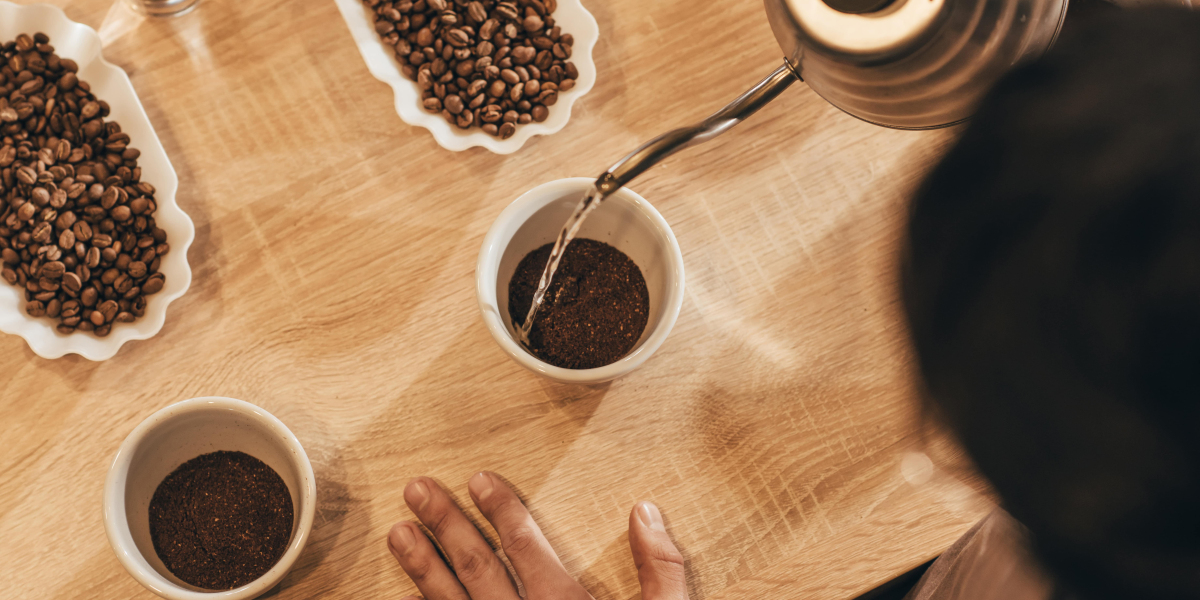 A Comprehensive Guide to Comparing Tassimo Coffee Machines