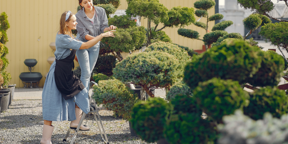 Transforming Your Outdoor Space: Why Hiring a Landscape Designer in Kansas City Is Worth It