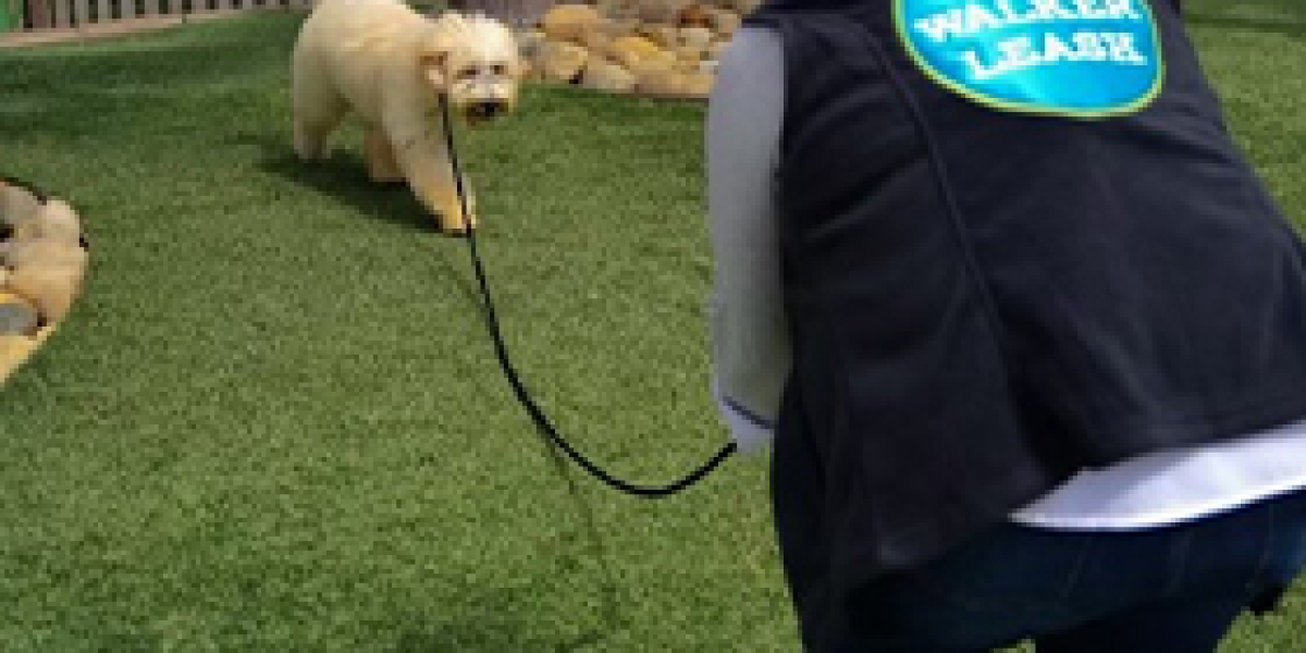 Trained Therapy Dogs for Sale at Aly’s Puppy Boot Camp