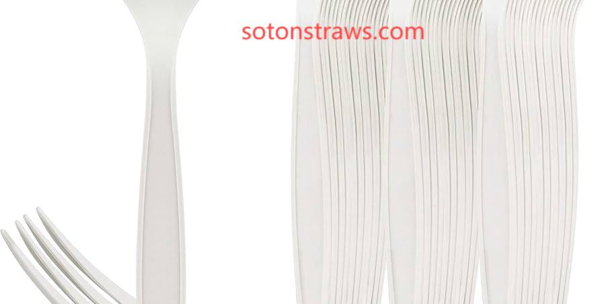 Lotus Armor: Nature-Inspired Antimicrobial Surface Engineering