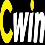CWIN DIY Profile Picture