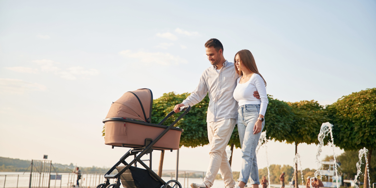 15 Things You've Never Known About Pushchair