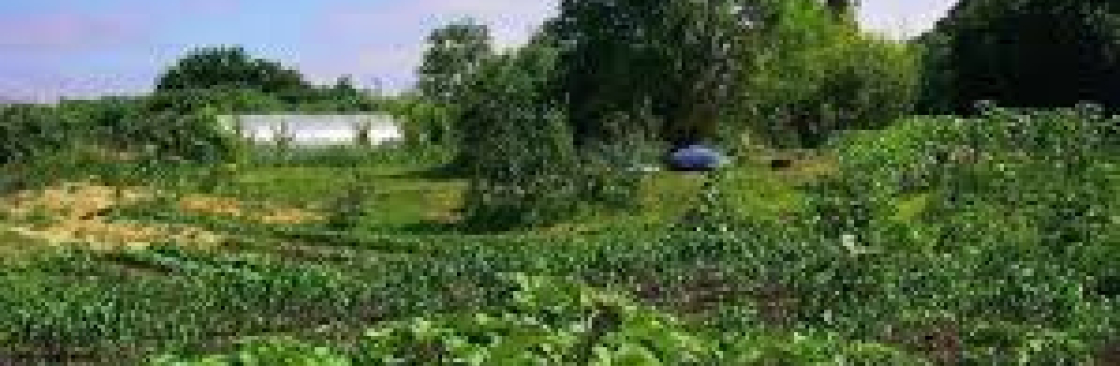 Grounded Permaculture Cover Image