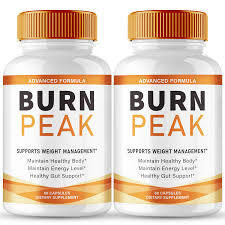 Burn Peak Review & Login Guide – Features, Access & Benefits