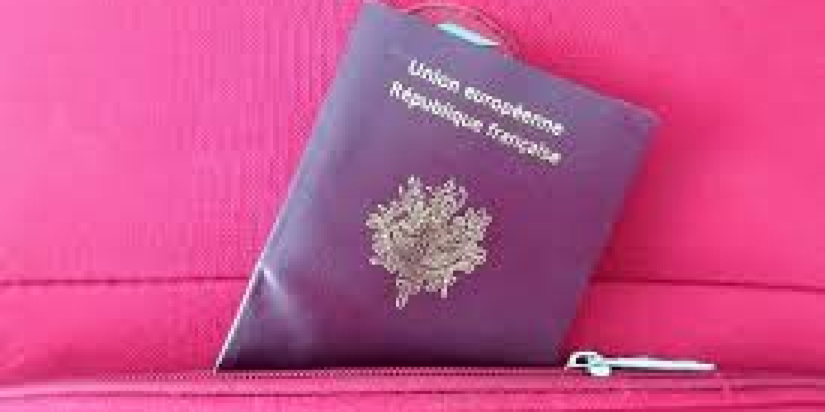 Paradise Talent Passport: Unlocking Human Potential for a Global Future