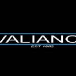 valiance Automotive Profile Picture