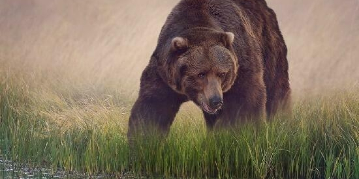 1xbet Promotion Code for Nigeria: UBASO - Up to N600,000 Registration Bonus