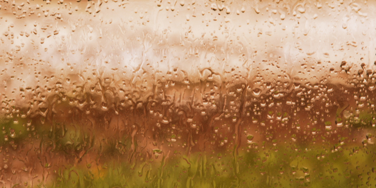 Exploring Small Personal Loans for Individuals with Bad Credit Score: A Case Research