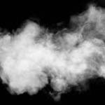 Alies Lii Profile Picture